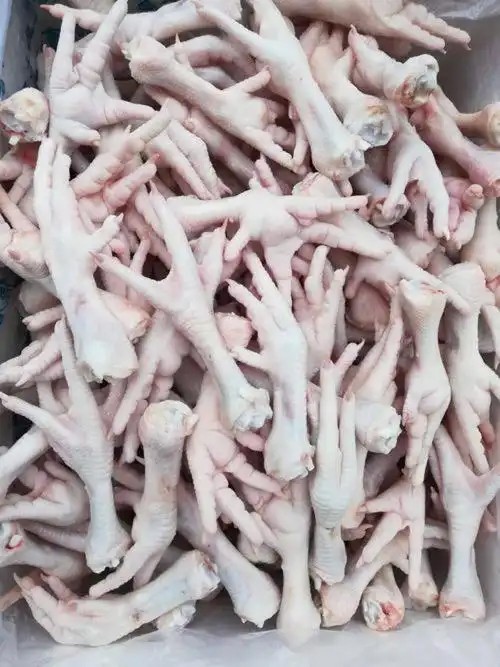 巴基斯坦 伊朗 冷冻鸡脚