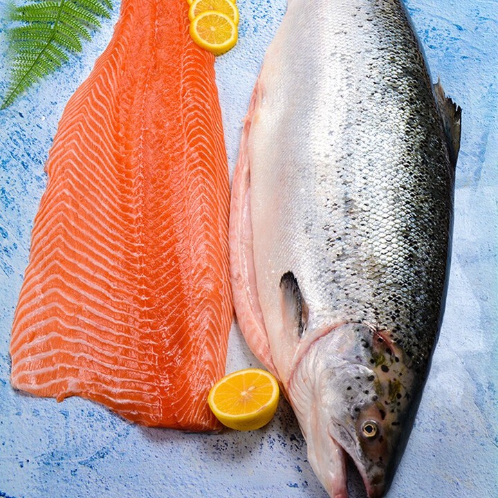 大西洋鲑带皮大片