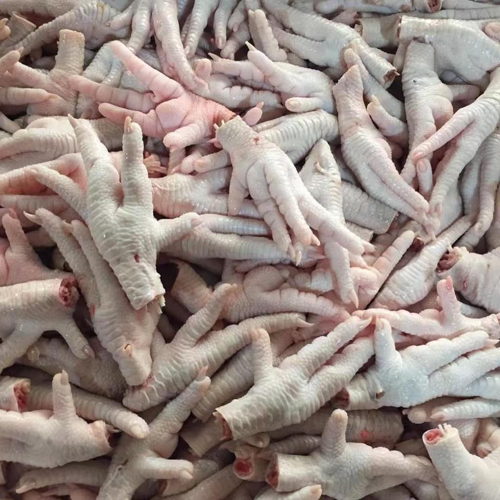 巴基斯坦 伊朗 冷冻凤爪