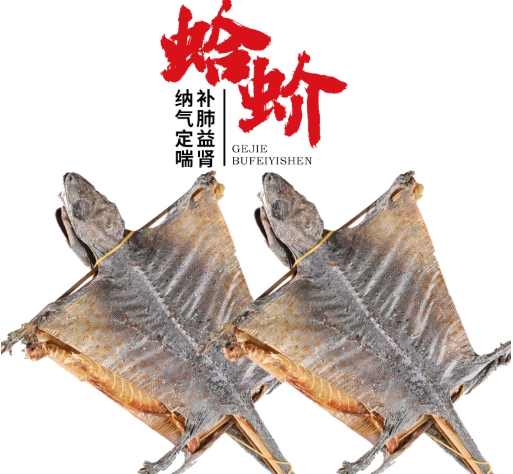 泰国进口蛤蚧饮片