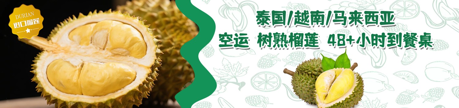外贸商城 promo